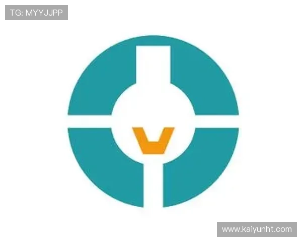 畅游开云kaiyun网页版官网：全面提升用户在线访问的便捷性